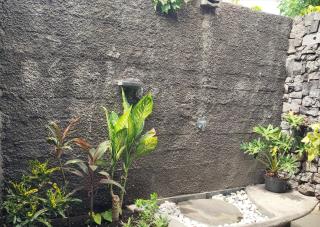 The Banyan Menjangan - Banyuwedang - 3