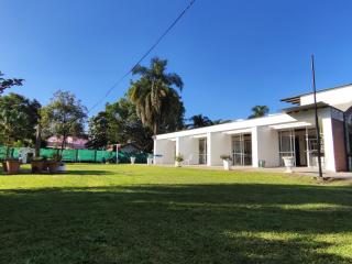 PRINGLES 1740 Ámbar - 2