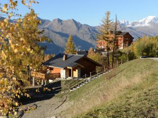 Chalet charmant 6 pers, proche pistes et commerces, Vallandry - FR-1-411-957 - 6