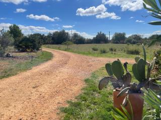 Finca Can Alba - Llucmajor - 1