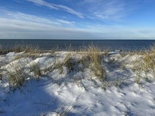 Oceans 18 Comfortable holiday residence - Wenningstedt - 1