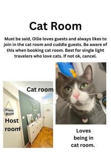 Cat Room by Delicate Stays LIVING ROOM CONVERSION SHARED SPACE ROOM ONLY CAT FRIENDLY ONLY 25 min to time square - 9