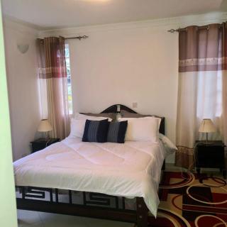 Runda 2 Bedroom - Nairobi - 2