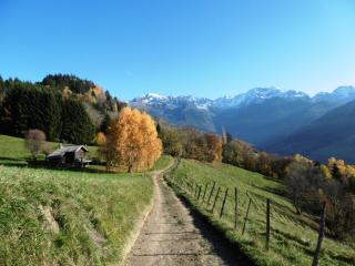 Gite Au Coeur Du Chalet en Belledonne vers Prapoutel Les 7 Laux - Sainte-Agnès - 1