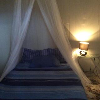 Corella Creek Country Farm Stay - Nelia - 9