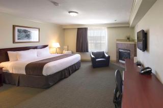 Quality Inn & Suites - Whitecourt - 4