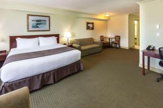 Quality Inn & Suites - Whitecourt - 1
