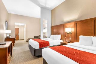 Comfort Suites Orlando Airport - Orlando - 2