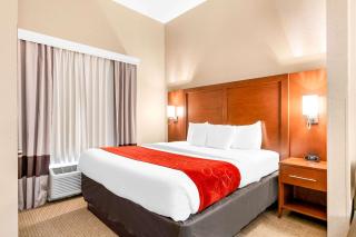 Comfort Suites Orlando Airport - Orlando - 2