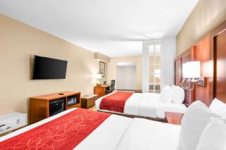 Comfort Suites Orlando Airport - Orlando - 4