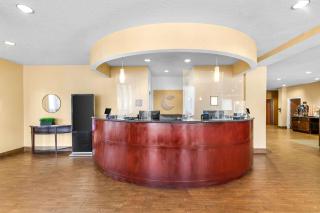 Comfort Suites Orlando Airport - Orlando - 8
