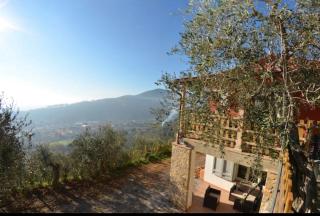 Podere San Martino - Buti - 9