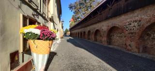 Citadel apartment - Hermannstadt - 3