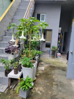 JUN house - Foreign Only - Busan - 4