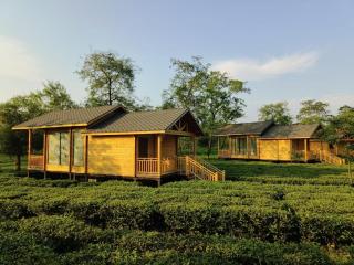 The Postcard in the Durrung Tea Estate, Assam - 5