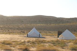 Stargaze Camp - 8