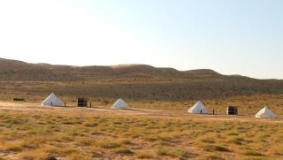 Stargaze Camp - 4