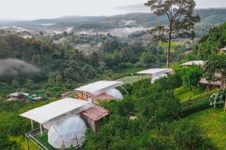 รสชาติฟาร์มสเตย์ - 9