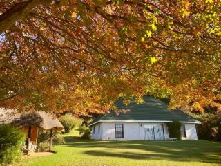 Pear Tree Cottage-Underberg - Underberg - 9