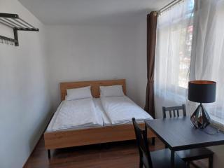 Vila Oltețul - Predeal - 2