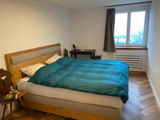 Churfirsten Panorama - CharmingStay - Flumserberg - 7