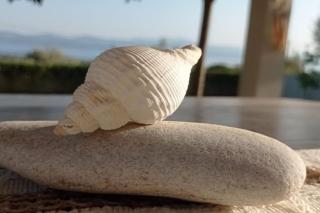 Villa Gaia Greece - 9