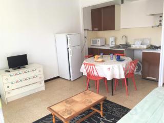 Grand studio avec terrasse proche du port de Saint Cyprien -3RM168 - Saint-Cyprien-Plage - 2