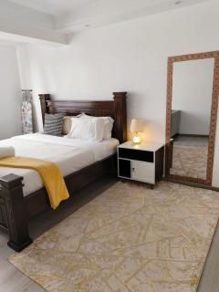 Goldpark Homes one bedroom-Kilimani - Nairobi - 3