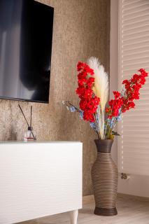 Luxury Sabina 35 - Bucharest - 6