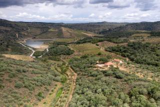 Casas da Vinha - Vineadouro Wine Hotel - - 0