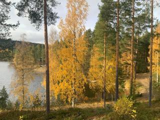 Saunaharju 5 järven rannalla - 8