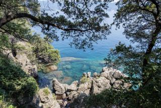 Villa Peninsula - Portofino - 3