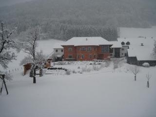 Bauernhof Serner - Molln - 6