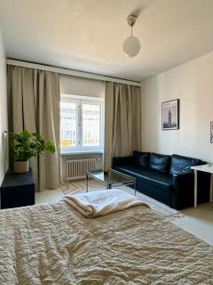 A cozy studio apartment in Vallila - 0
