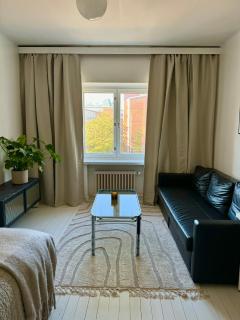 A cozy studio apartment in Vallila - 9