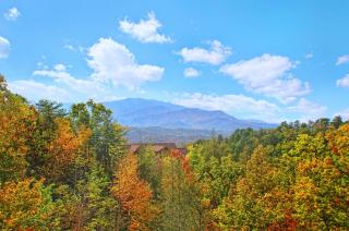 Knotty Pine Delight Holiday home - Gatlinburg - 0