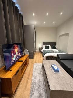 Cosy 1 bed Studio apartment Knightsbridge SW7 - Londra - 4