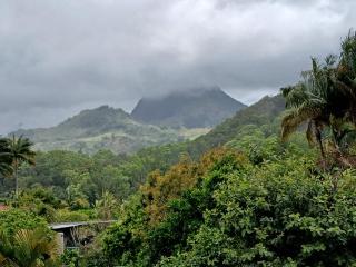 Horizon des Pitons - Salazie - 9