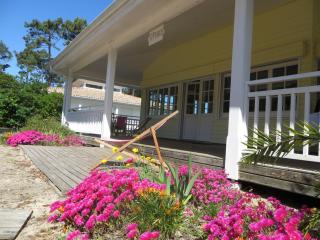 Belle villa caraîbes presqu'ile du Cap-Ferret près de l'océan et du bassin - Le Piquey - 5