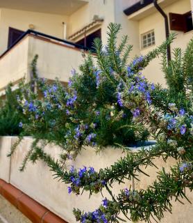 Sabaudia villetta a pochi minuti dal mare - 8