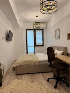 Luxury Studios - Iaşi - 8