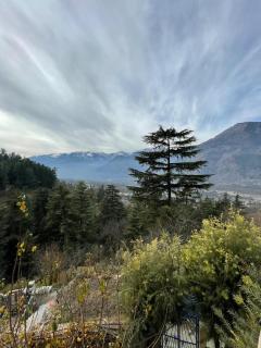 Kutumb Homestay Naggar - Nagar - 6