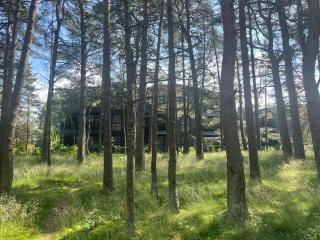 Pine Forest Escape at Vanagupes Parkas - Palanga - 3