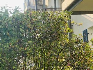 DomiLia Comfortable holiday residence - Owingen - 8