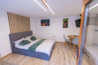 City Center Apartment - Cluj-Napoca - 6