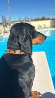 Luxury B&B Resort - Anzio - 7