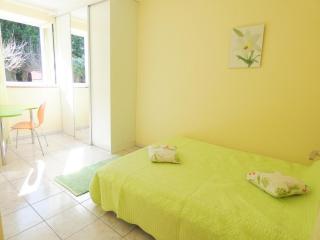 Les cannas - Quartier-Neuf - 3