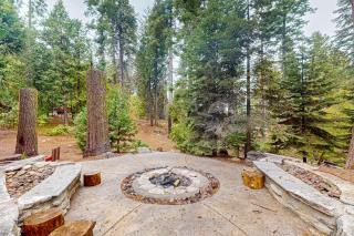 Tranquil Pines Retreat - Shaver Lake - 8