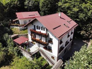 Vila Thomas - Sinaia - 9