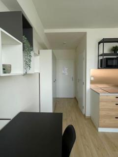 Modern apartment - Prague - 1